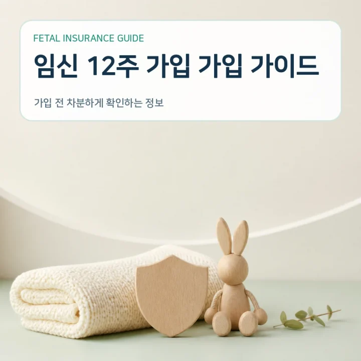 태아보험 임신 12주 가입 가입 가이드